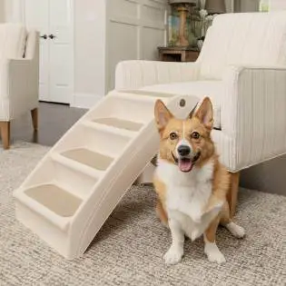 PetSafe CozyUp Foldable Dog Stairs