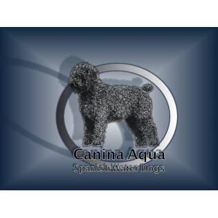 is there a copper kennel spanish water dog