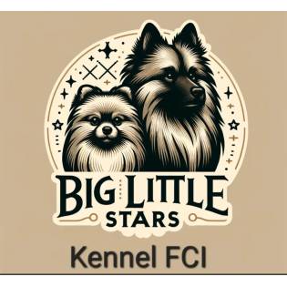 Big Little Stars