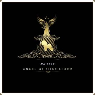 Angel of Silky Storm