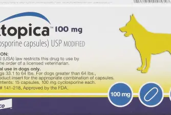 Atopica for Dogs: Usage $ Side Effects