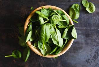 Can Dogs Eat Basil? Is It Safe For Them?