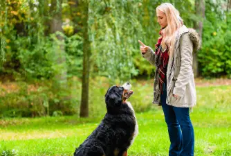 Što će trening poslušnosti naučiti vašeg psa?
