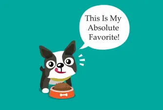 The 5 Best Foods for Boston Terriers