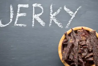 ¿Pueden los perros comer carne seca?