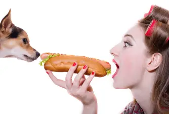 Mogu li psi jesti hot dog?