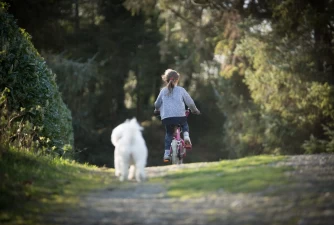 5 Tips for Safe Biking With Your Dog