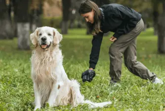 ¿Cómo detectar la colitis en perros?