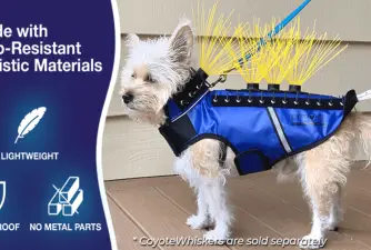 Top 3 Coyote Vests For Dogs