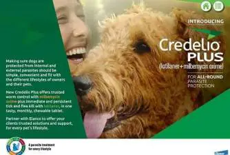 Is Credelio for Dogs Good & Where To Get It