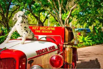 Good To Know: Why Are Dalmatians Fire Dogs?