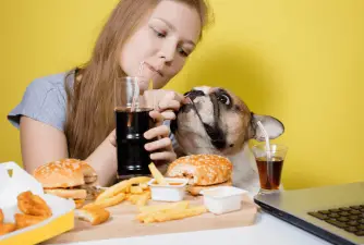 Smijete li podijeliti hamburger sa svojim psom?