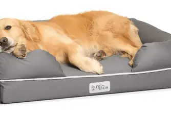 Waterproof Dog Bed - Why is it a Good Idea?