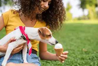 Mogu li psi jesti sladoled