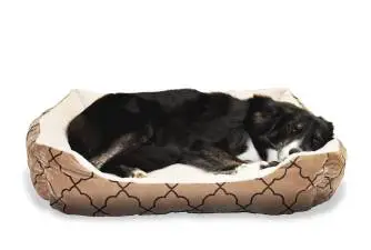 Best Heated Dog Beds in 2023
