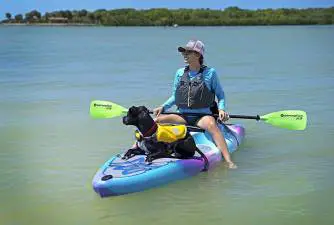 5 Best Kayaks for Dogs & How to Pick One