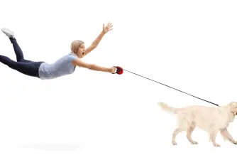 5 Tips to Stop a Dog From Pulling on a Leash