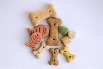How Many Treats Can Your Dog Actually Eat?