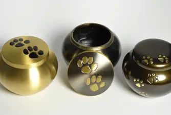 Pet Cremation - What to Do When Our Dogs Leave Us