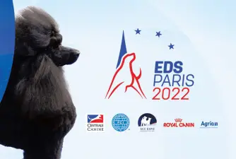 Exposition canine européenne 2022 - Tout ce que vous devez savoir