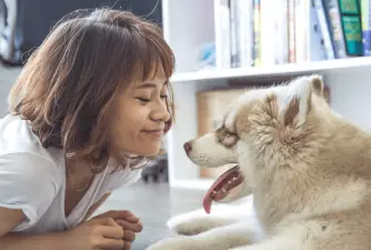 7 Tips on How to Introduce Your Dog to New Roommates