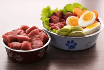 Dog Food Recipes - Vet Approved Homemade Dog Food