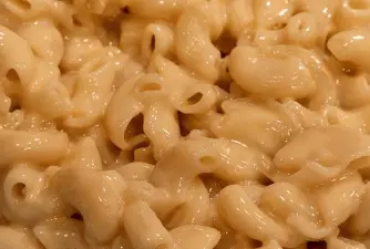 Can Dogs Eat Mac & Cheese | Here's Why it's a Bad Idea
