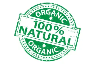 The Best Organic Dog Food in 2021