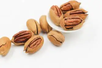 Are Pecans Safe For Dogs To Eat?