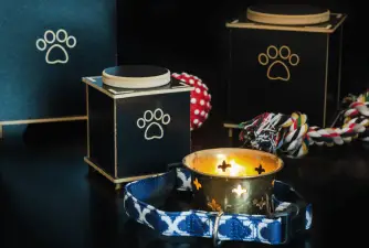 Best Pet Urns for Commemorating Your Dog