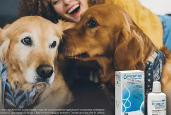 Posatex for Dogs | Uses & Effects