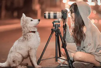 Best Dog Cameras in 2022