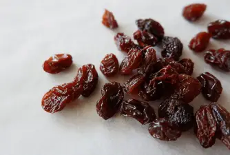 Raisins and Dogs - Are They Really That Dangerous?