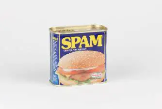 Should You Share Spam With Your Dog?