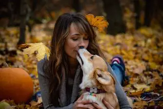 Expert Opinion - Do Dogs Like Kisses?