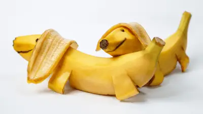 ¿Los plátanos son buenos para los perros?