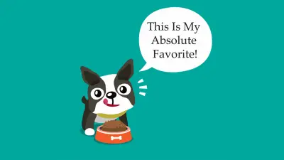 The 5 Best Foods for Boston Terriers