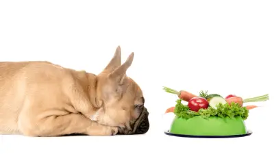 Lista de las 10 mejores: las mejores verduras para perros