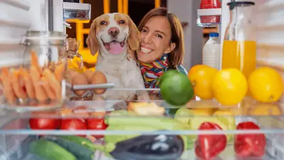 Can Dogs be Vegan | Here's What Nutritionists Say