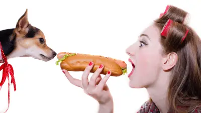 Mogu li psi jesti hot dog?