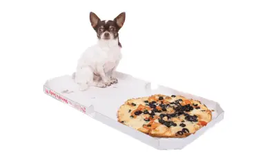 ¿Pueden los perros comer pizza?