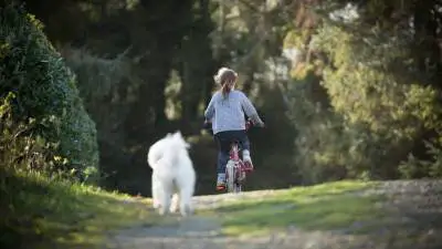 5 savjeta za sigurnu vožnju biciklom sa svojim psom