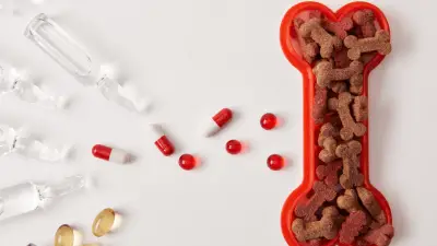 Dog Owner's Guide to Sedatives: Usage, Safety & Precautions