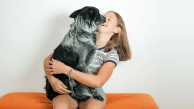 Sve što trebate znati o psima za emocionalnu potporu