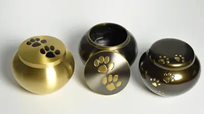 Pet Cremation - What to Do When Our Dogs Leave Us