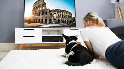 Vole li psi gledati TV te razumiju li koncept televizije?
