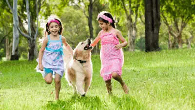 Why Does My Dog Herd Kids and Adults? Here’s How to Solve It