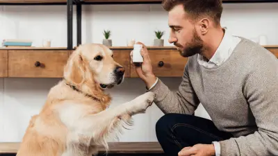 Vitaminas para perros - ¿Cuándo son necesarios?