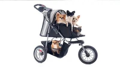 Best Dog Strollers in 2023