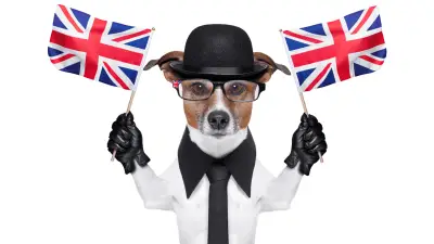 7 razas de perros ingleses más populares